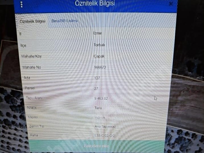 Çınar Gayrimenkul